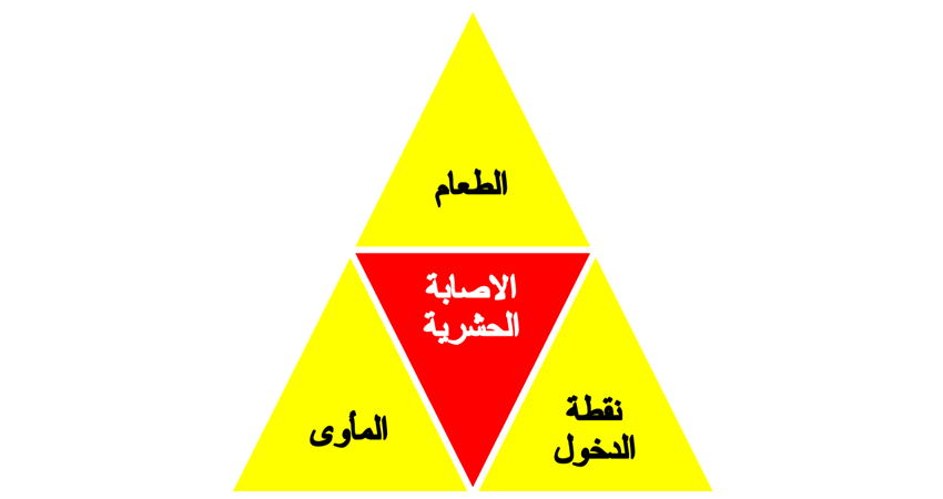 blog_img
